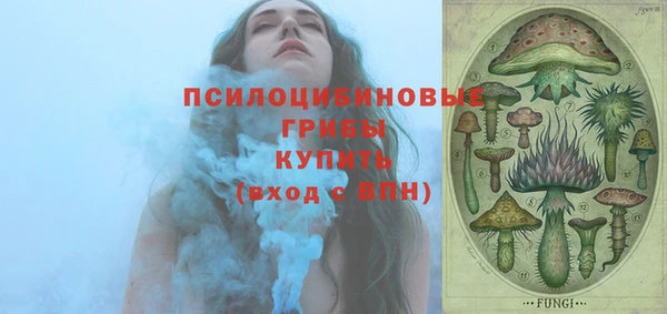 дурь Абаза