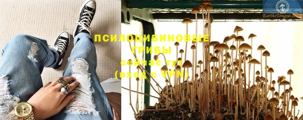 дурь Абаза