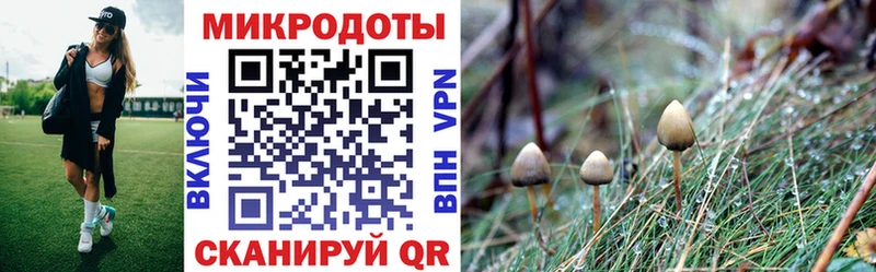 Галлюциногенные грибы прущие грибы Шарья
