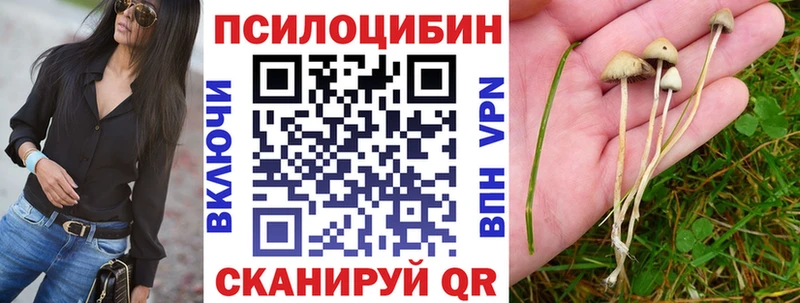 Галлюциногенные грибы GOLDEN TEACHER  Шарья 
